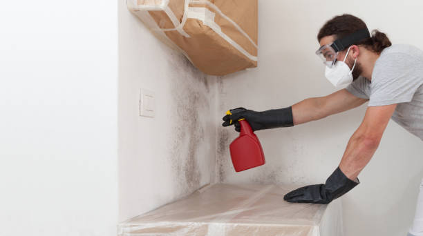 Professional Mold Remediation technician working in Ludington, MI