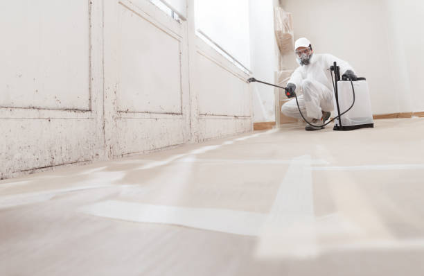 24/7 Emergency Mold Remediation experts in Ludington, MI