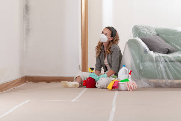 Reliable Mold Remediation contractor in Ludington, MI by Mold Remediation HQ